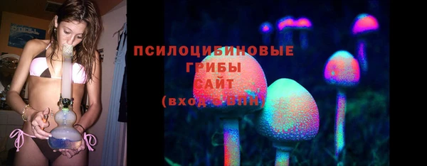 COCAINE Каменка