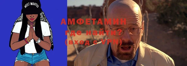 гашик Карпинск