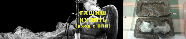 гашик Карпинск