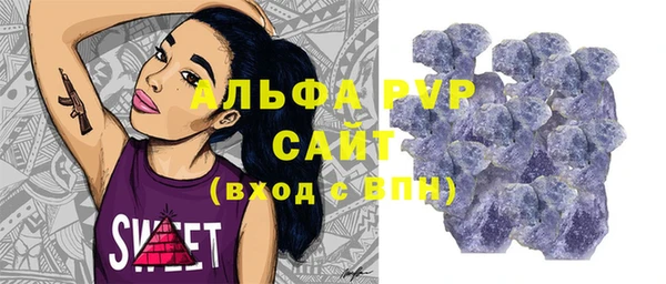 гашик Карпинск