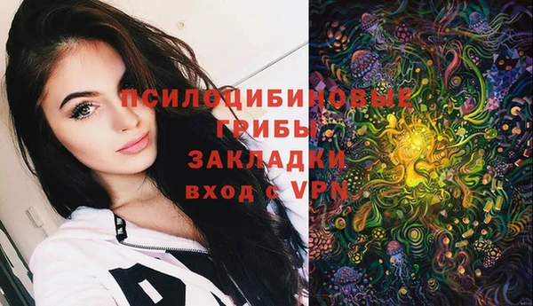 прущие крисы Каменногорск