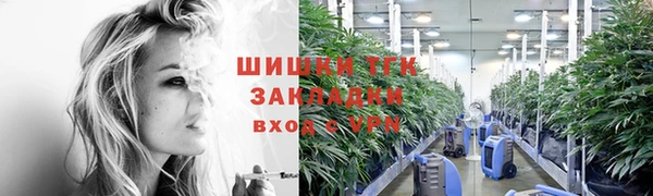 гашик Карпинск