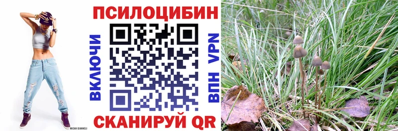omg tor  Клин  Псилоцибиновые грибы GOLDEN TEACHER 